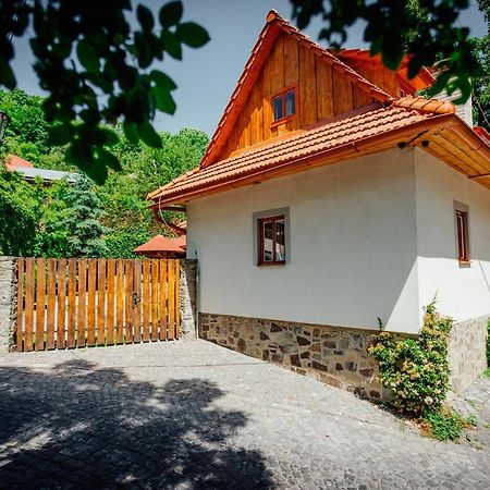 Stara Mytnica Villa Banská Štiavnica Exteriör bild