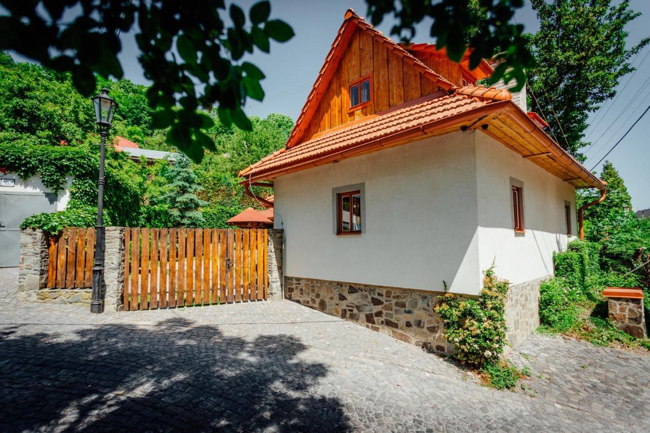 Stara Mytnica Villa Banská Štiavnica Exteriör bild
